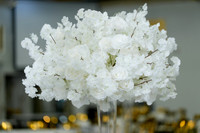 Shan + Nalins Wedding Day.May 31 2026-0005