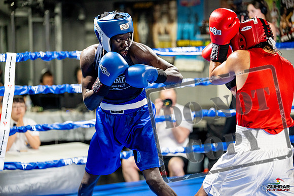 Cougar boxing June 7th 2025-0455