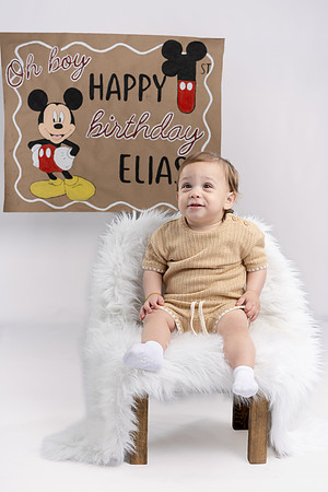 Elias first birthday pictures June 21 2026-0018