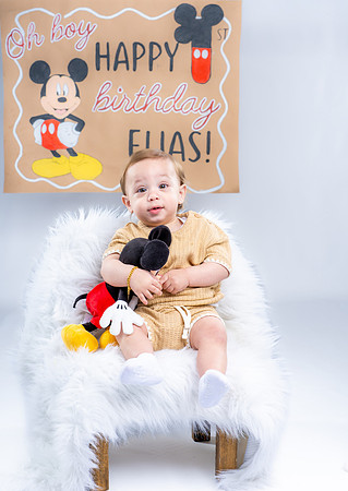 Elias first birthday pictures June 21 2026-0032