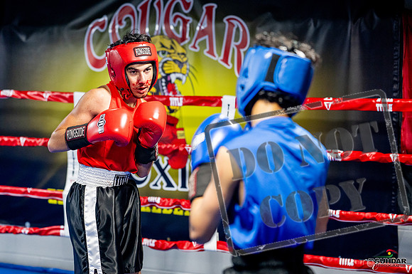 Cougar boxing June 7th 2025-0221
