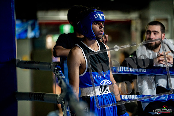 Cougar boxing June 7th 2025-0574