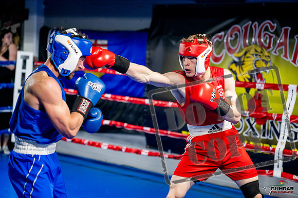 Cougar boxing June 7th 2025-0399
