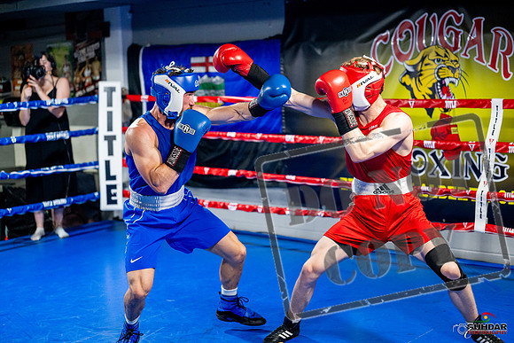 Cougar boxing June 7th 2025-0388