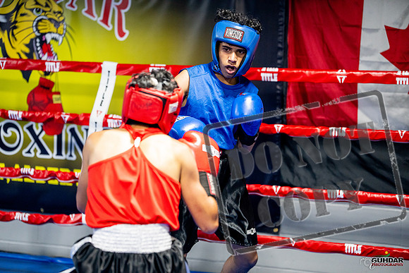 Cougar boxing June 7th 2025-0229