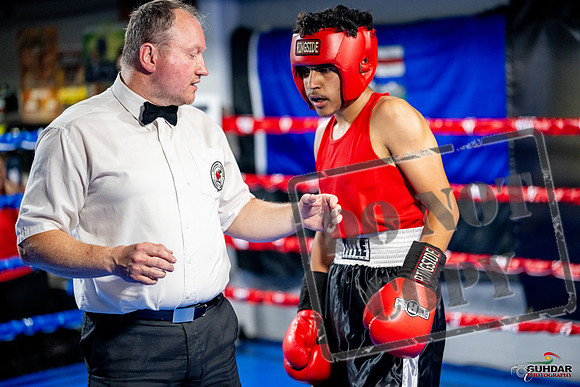 Cougar boxing June 7th 2025-0616