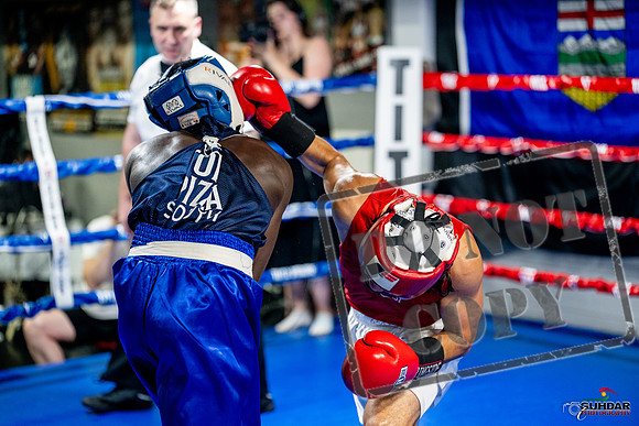 Cougar boxing June 7th 2025-0466