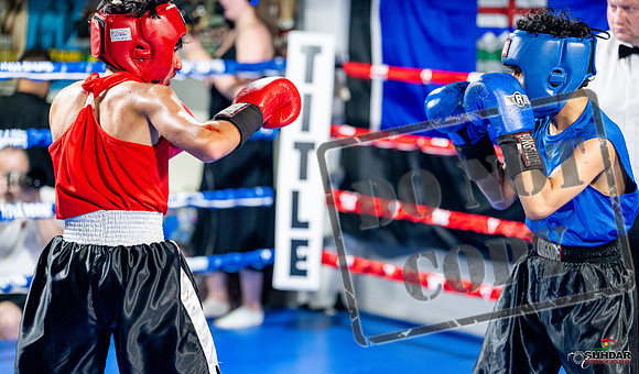 Cougar boxing June 7th 2025-0272
