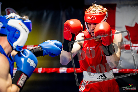 Cougar boxing June 7th 2025-0379