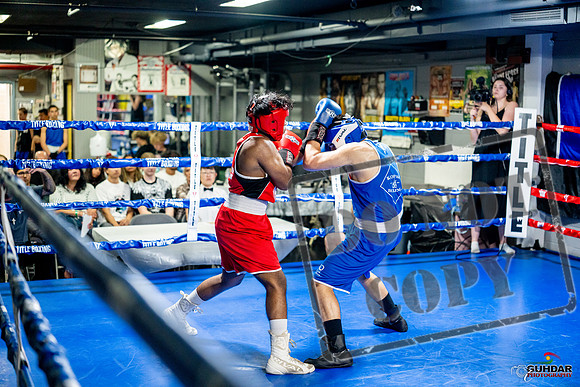 Cougar boxing June 7th 2025-0347