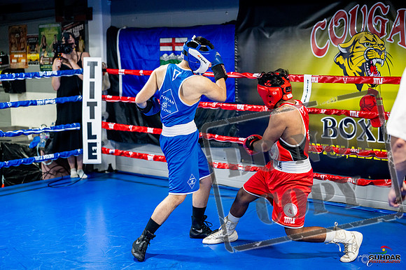 Cougar boxing June 7th 2025-0307