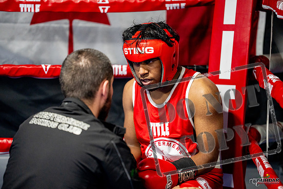 Cougar boxing June 7th 2025-0322