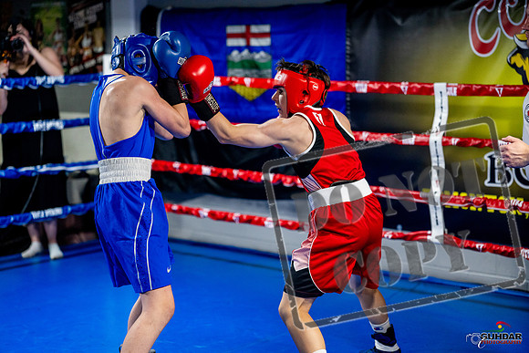 Cougar boxing June 7th 2025-0559