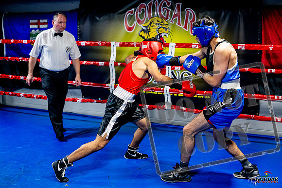 Cougar boxing June 7th 2025-0586
