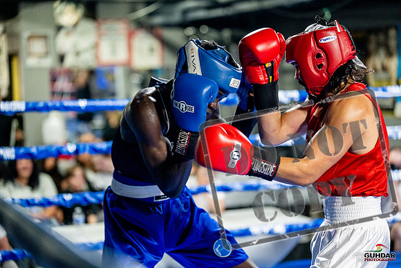 Cougar boxing June 7th 2025-0463