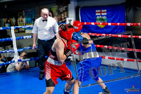 Cougar boxing June 7th 2025-0524