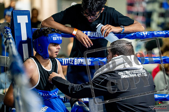 Cougar boxing June 7th 2025-0601
