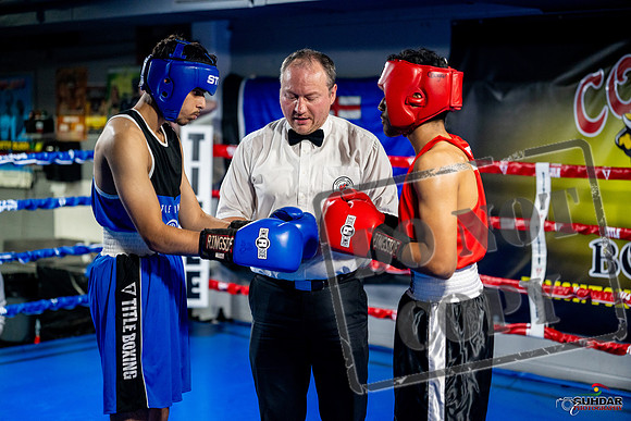 Cougar boxing June 7th 2025-0578