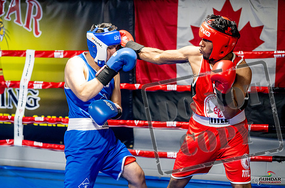 Cougar boxing June 7th 2025-0302