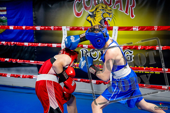 Cougar boxing June 7th 2025-0535