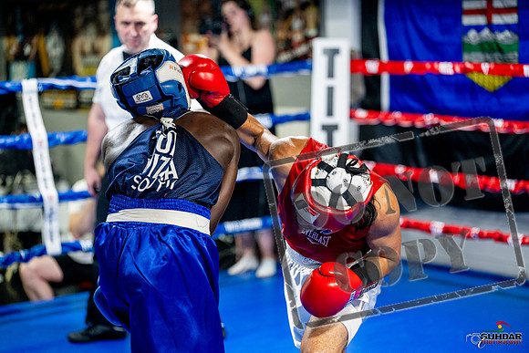 Cougar boxing June 7th 2025-0467