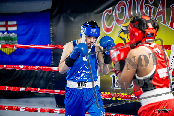 Cougar boxing June 7th 2025-0309