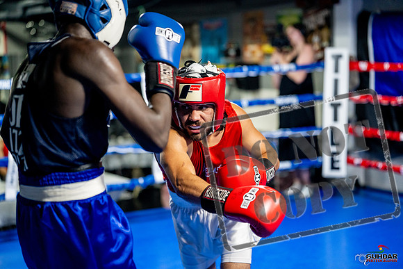 Cougar boxing June 7th 2025-0482