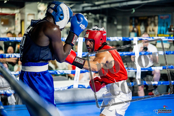 Cougar boxing June 7th 2025-0481