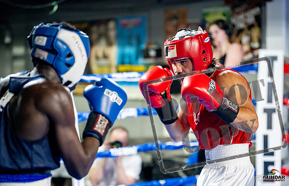 Cougar boxing June 7th 2025-0461