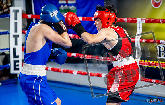 Cougar boxing June 7th 2025-0520
