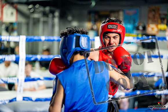 Cougar boxing June 7th 2025-0239