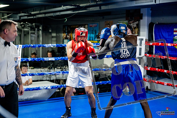 Cougar boxing June 7th 2025-0442