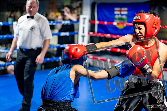 Cougar boxing June 7th 2025-0203