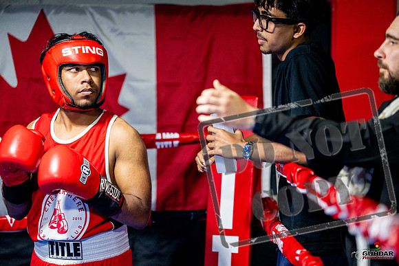 Cougar boxing June 7th 2025-0287
