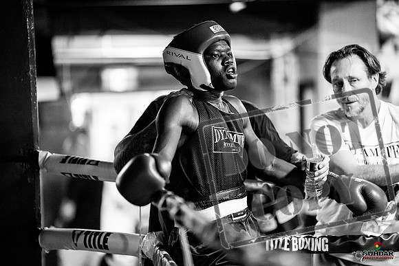 Cougar boxing June 7th 2025-0484