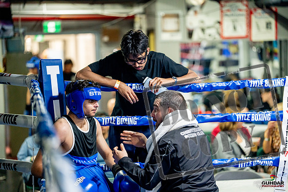 Cougar boxing June 7th 2025-0602