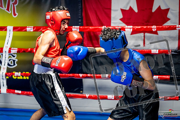 Cougar boxing June 7th 2025-0233