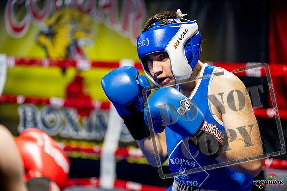 Cougar boxing June 7th 2025-0319