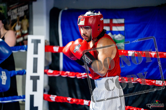 Cougar boxing June 7th 2025-0460