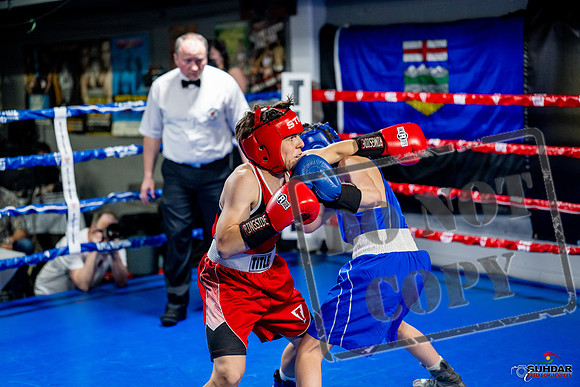 Cougar boxing June 7th 2025-0526