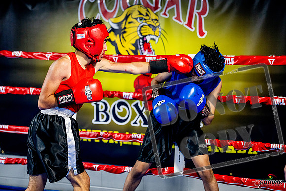 Cougar boxing June 7th 2025-0230
