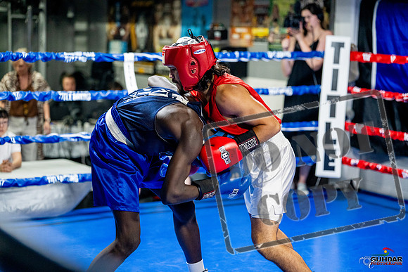 Cougar boxing June 7th 2025-0432