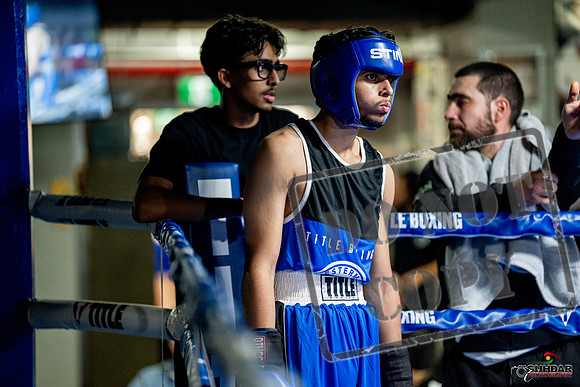 Cougar boxing June 7th 2025-0575