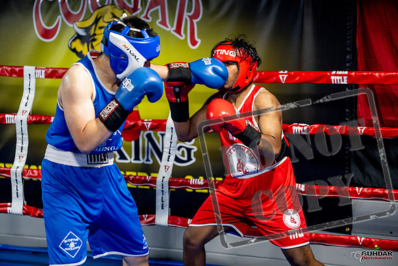 Cougar boxing June 7th 2025-0350