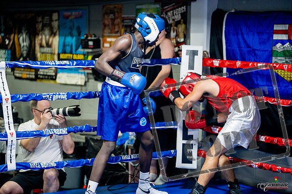 Cougar boxing June 7th 2025-0492