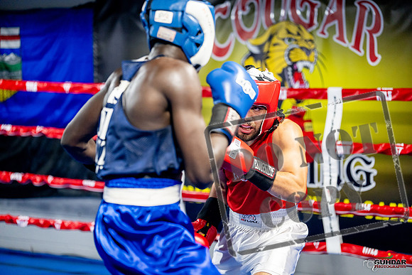 Cougar boxing June 7th 2025-0478