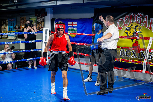 Cougar boxing June 7th 2025-0261