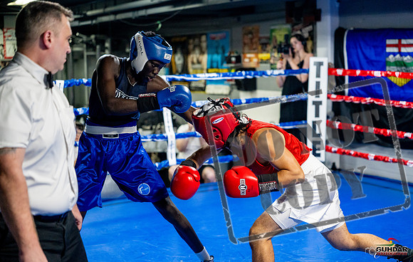 Cougar boxing June 7th 2025-0438