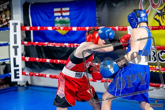 Cougar boxing June 7th 2025-0537