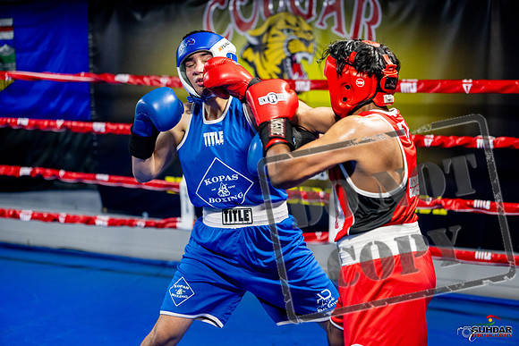 Cougar boxing June 7th 2025-0325
